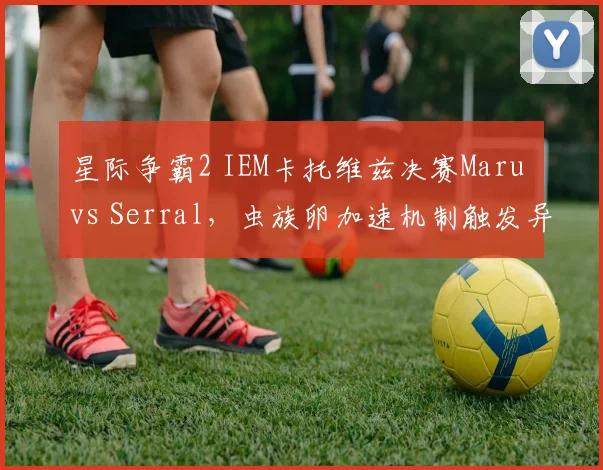 星际争霸2 IEM卡托维兹决赛Maru vs Serral，虫族卵加速机制触发异常